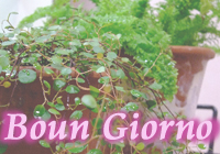 SAMPLE WEBSITE
